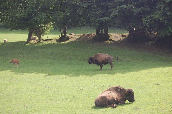 DSC_0073 [50%] [50%].JPG